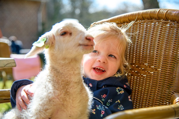 Een jong meisje lacht terwijl ze een lammetje op schoot heeft. Ze zitten samen buiten op een rieten stoel in de zon.