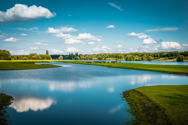 De baggergaten bij de Tasbeek in Kessel