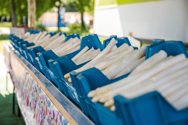 Asparagus bike tour: Tasty through Two Countries