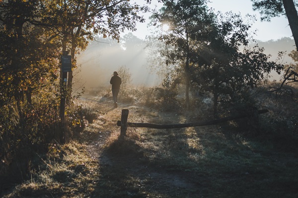 Wandelaar in het Weerterbos tijdens een van de winterwandelingen, met mist en zonlicht tussen de bomen.