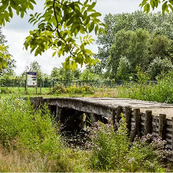 De krang route blauw