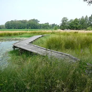 Vlonderpad in de Laurabossen